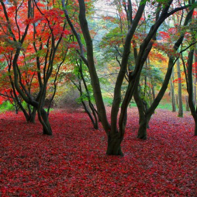 1920 x 1080 HD Wallpapers 294